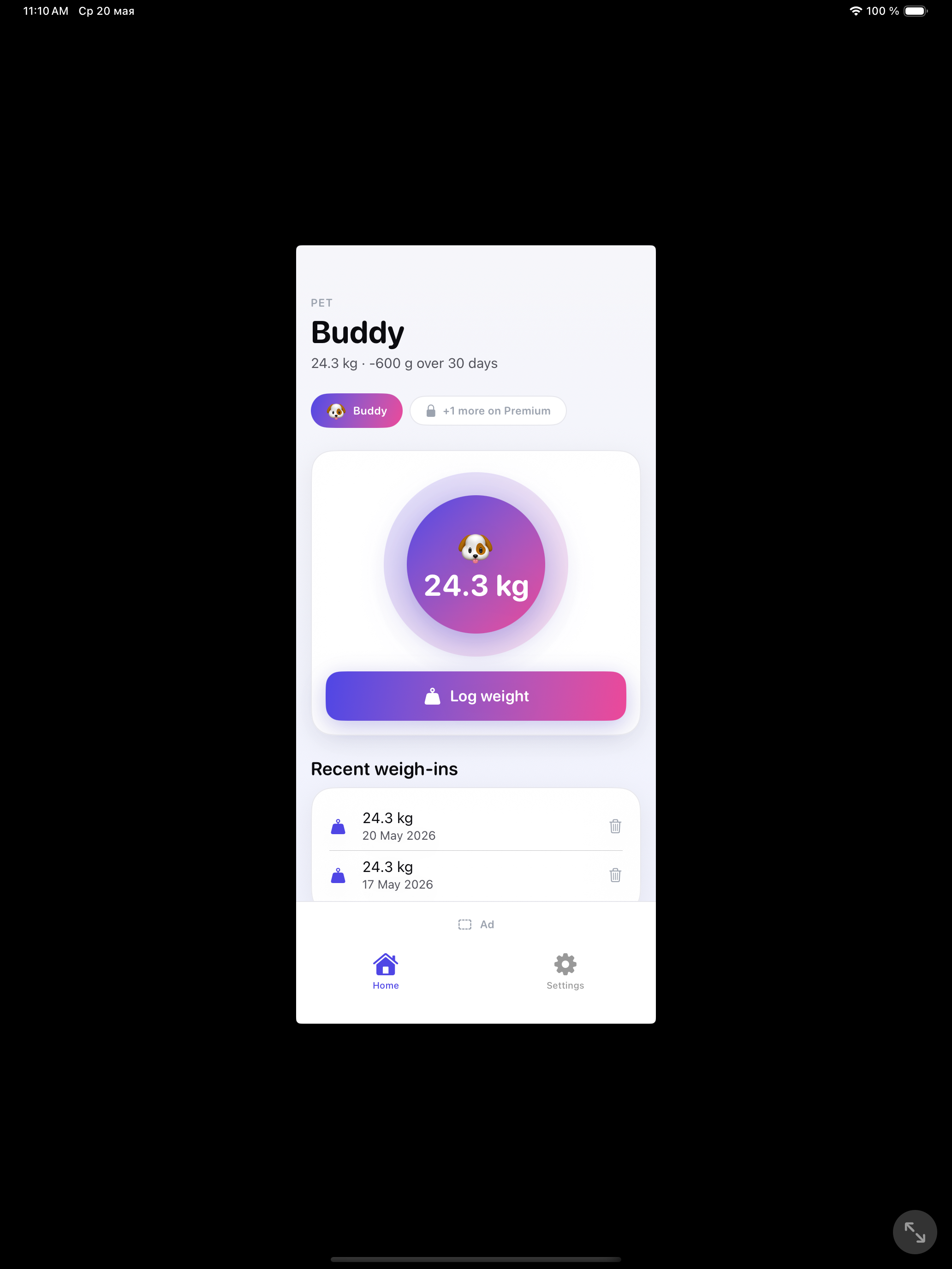 Pet Weight — home screen